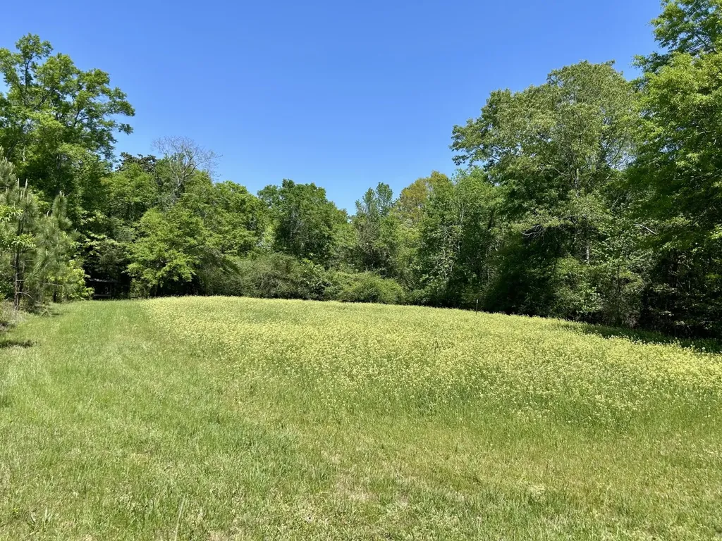 291 Pine Trail Evergreen AL 36401