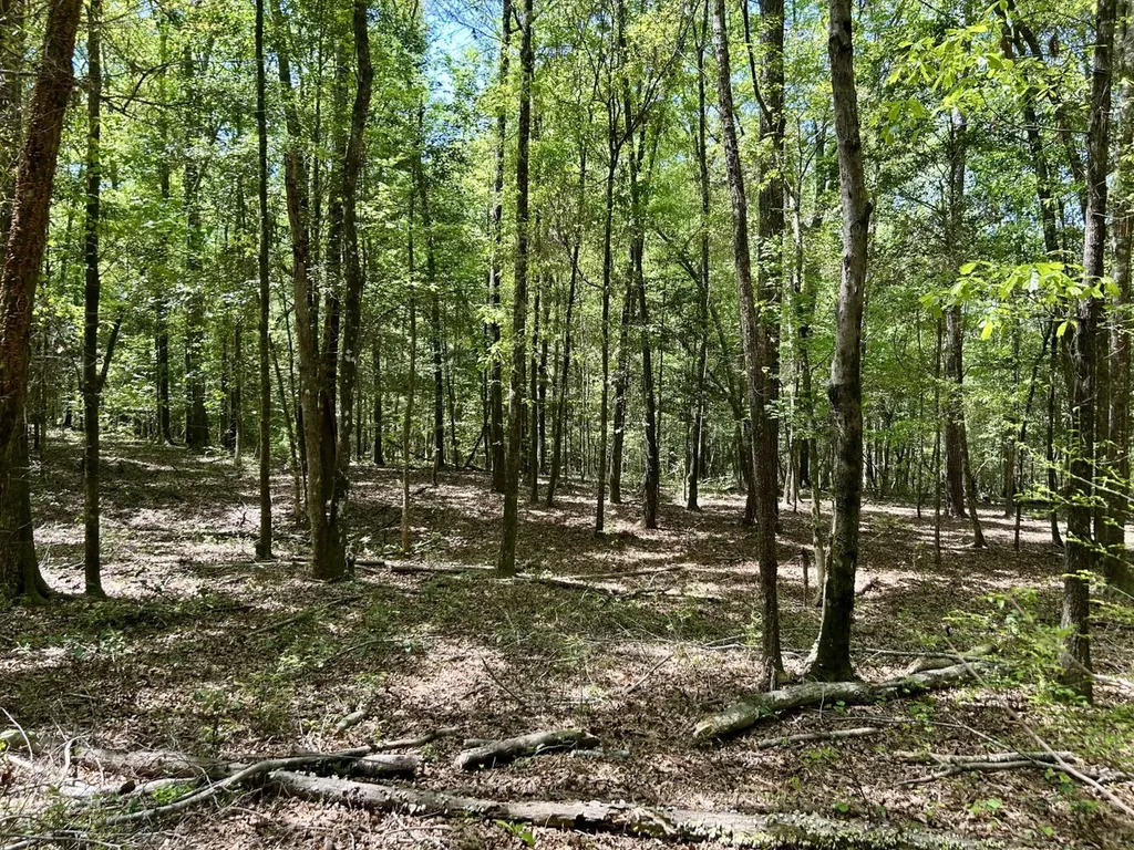 291 Pine Trail Evergreen AL 36401