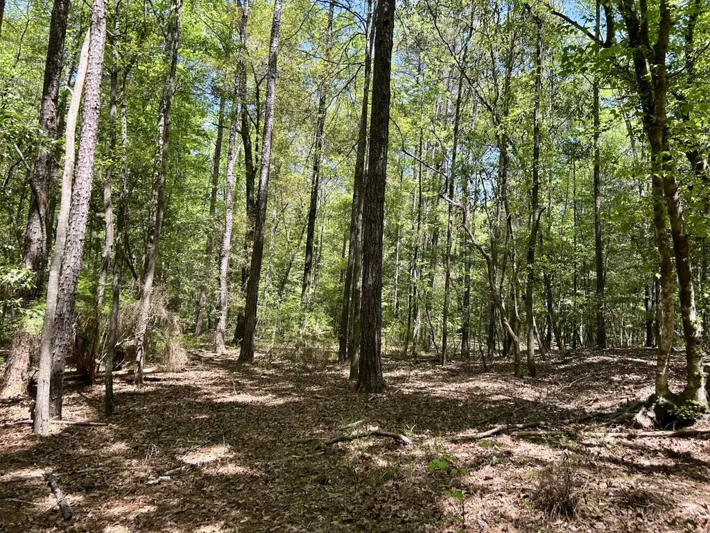 291 Pine Trail Evergreen AL 36401