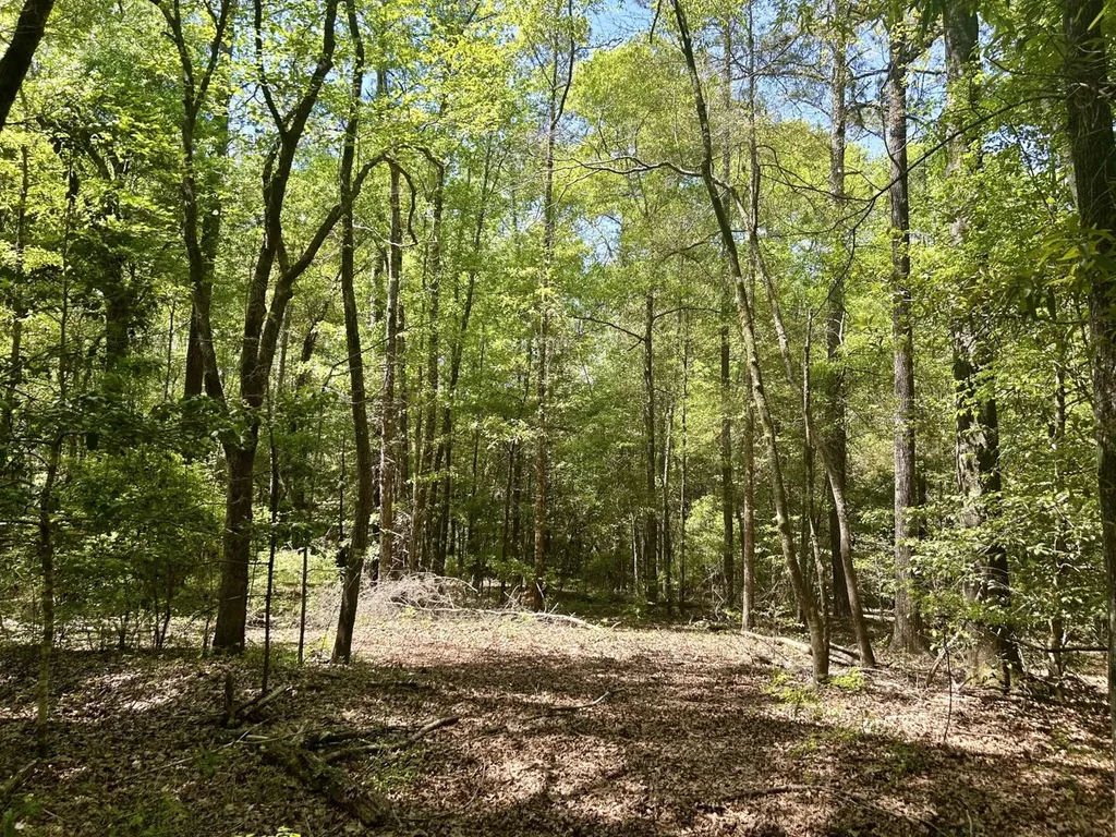 291 Pine Trail Evergreen AL 36401