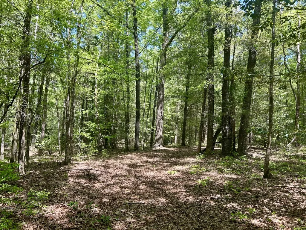 291 Pine Trail Evergreen AL 36401