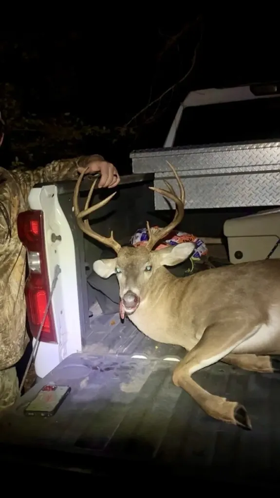 291 Pine Trail Evergreen AL 36401