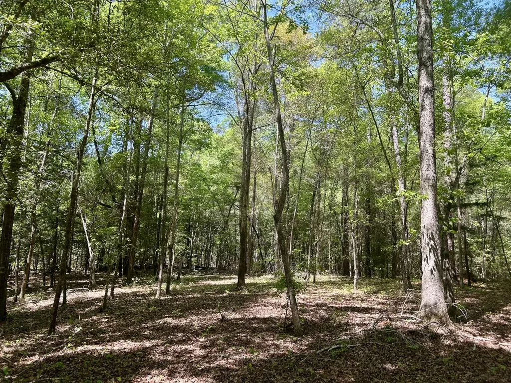 291 Pine Trail Evergreen AL 36401