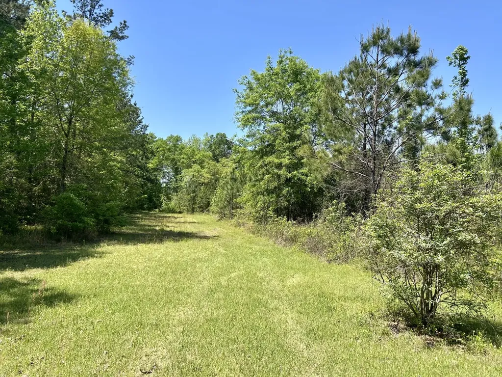 291 Pine Trail Evergreen AL 36401