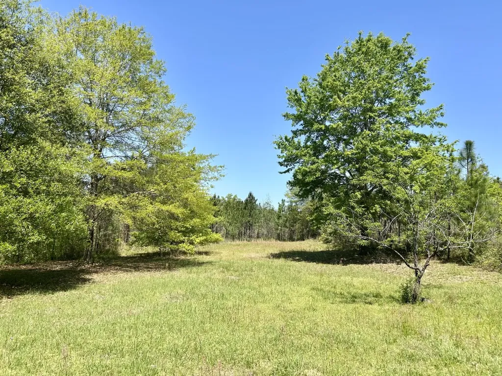 291 Pine Trail Evergreen AL 36401