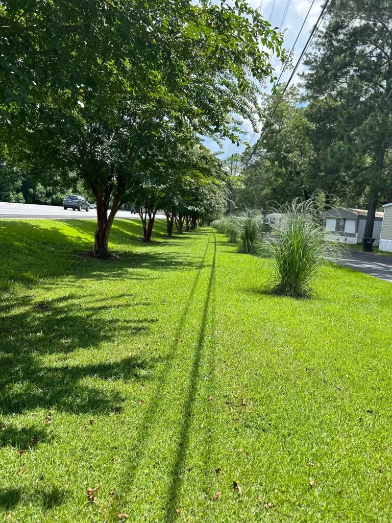 3446 Blue Ridge Circle Montgomery AL 36110