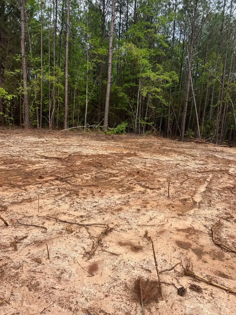 Highway 25 Highway 25 Greensboro AL 36744