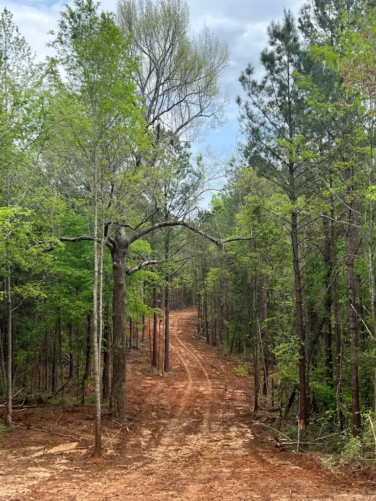 Highway 25 Highway 25 Greensboro AL 36744