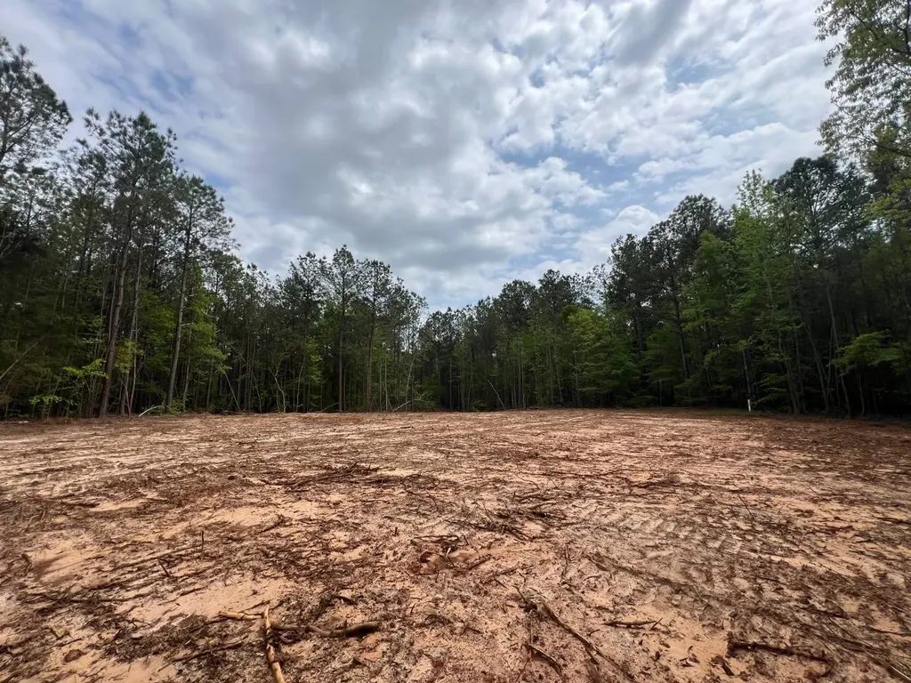 Highway 25 Highway 25 Greensboro AL 36744