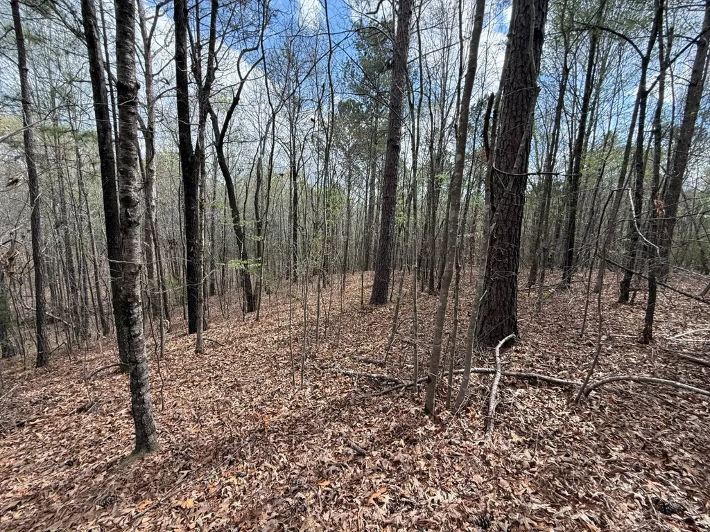 0 Berney Station Road Talladega AL 35160