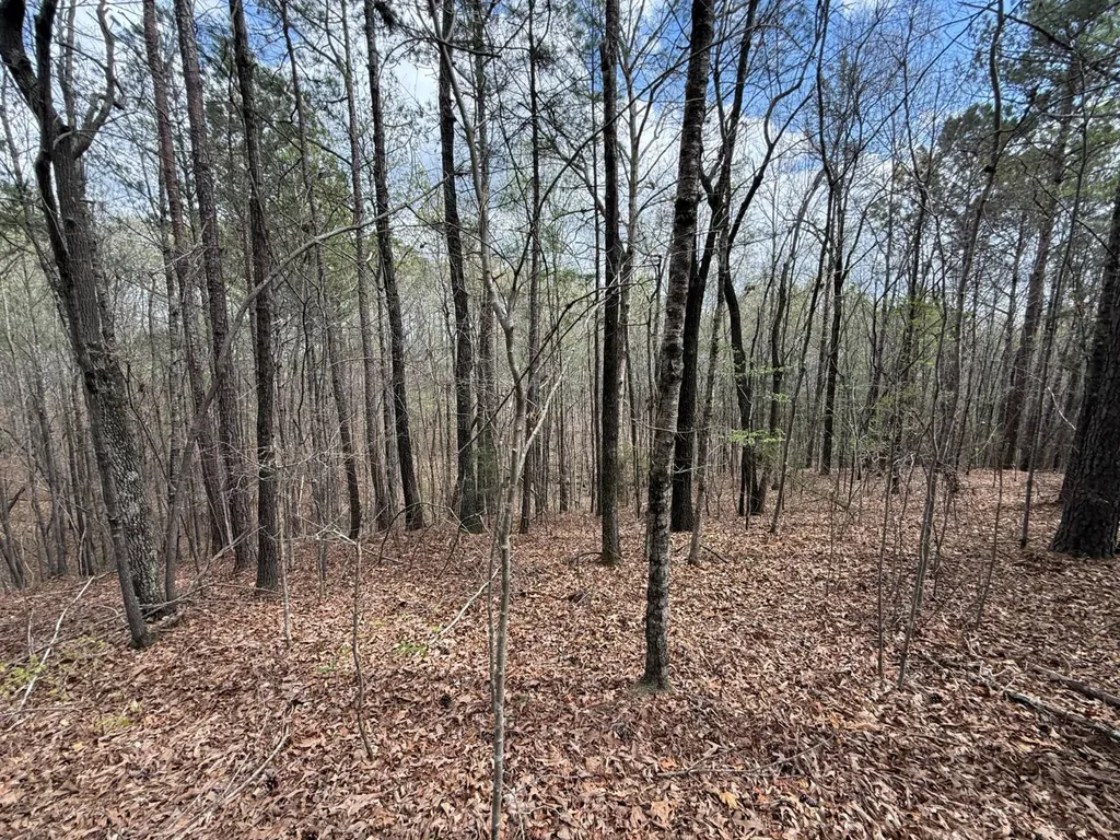 0 Berney Station Road Talladega AL 35160