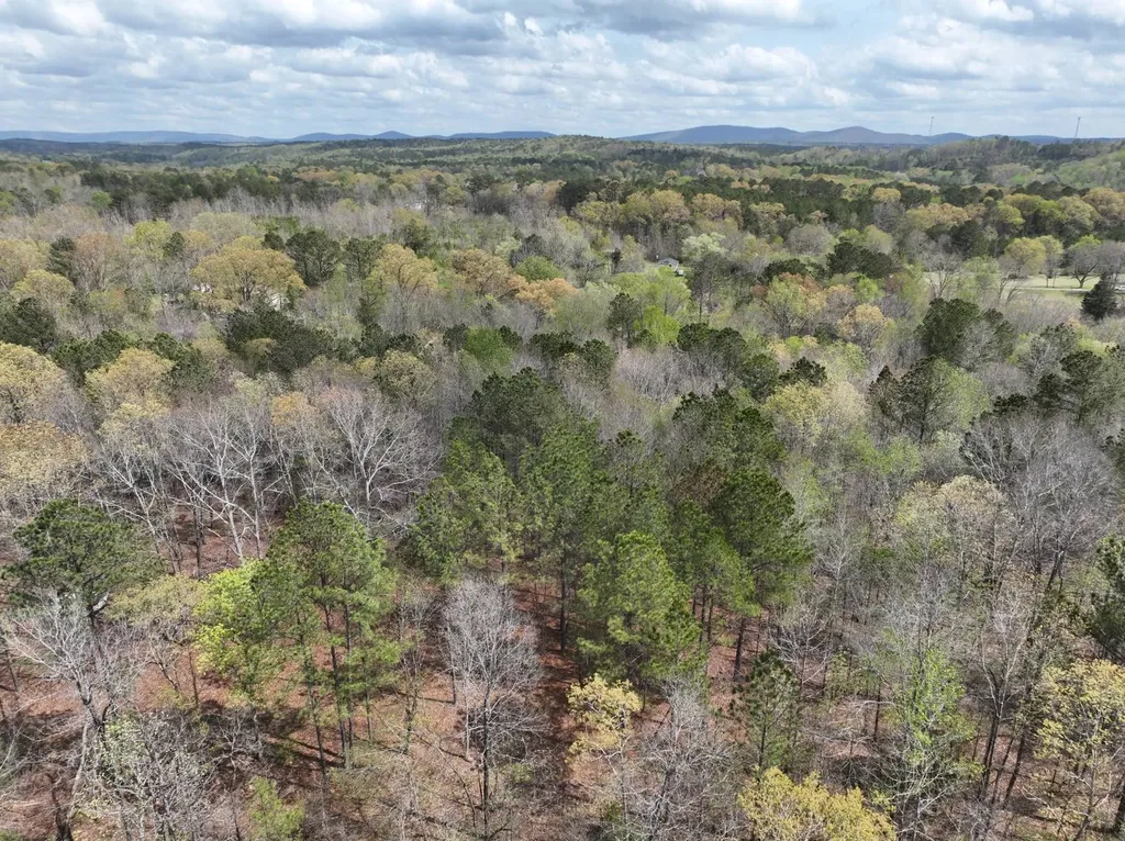 0 Berney Station Road Talladega AL 35160