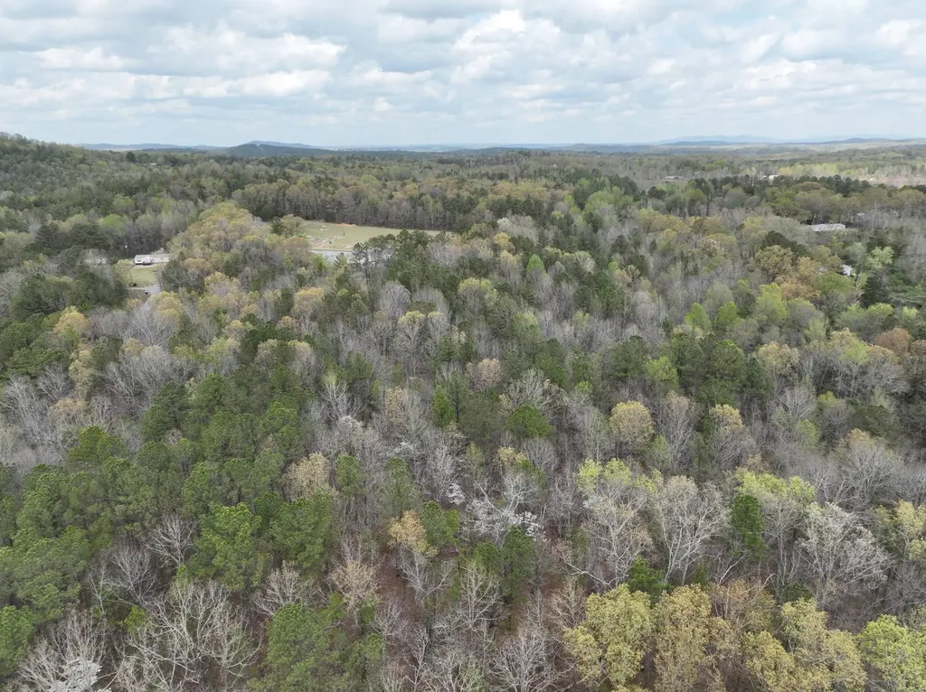 0 Berney Station Road Talladega AL 35160