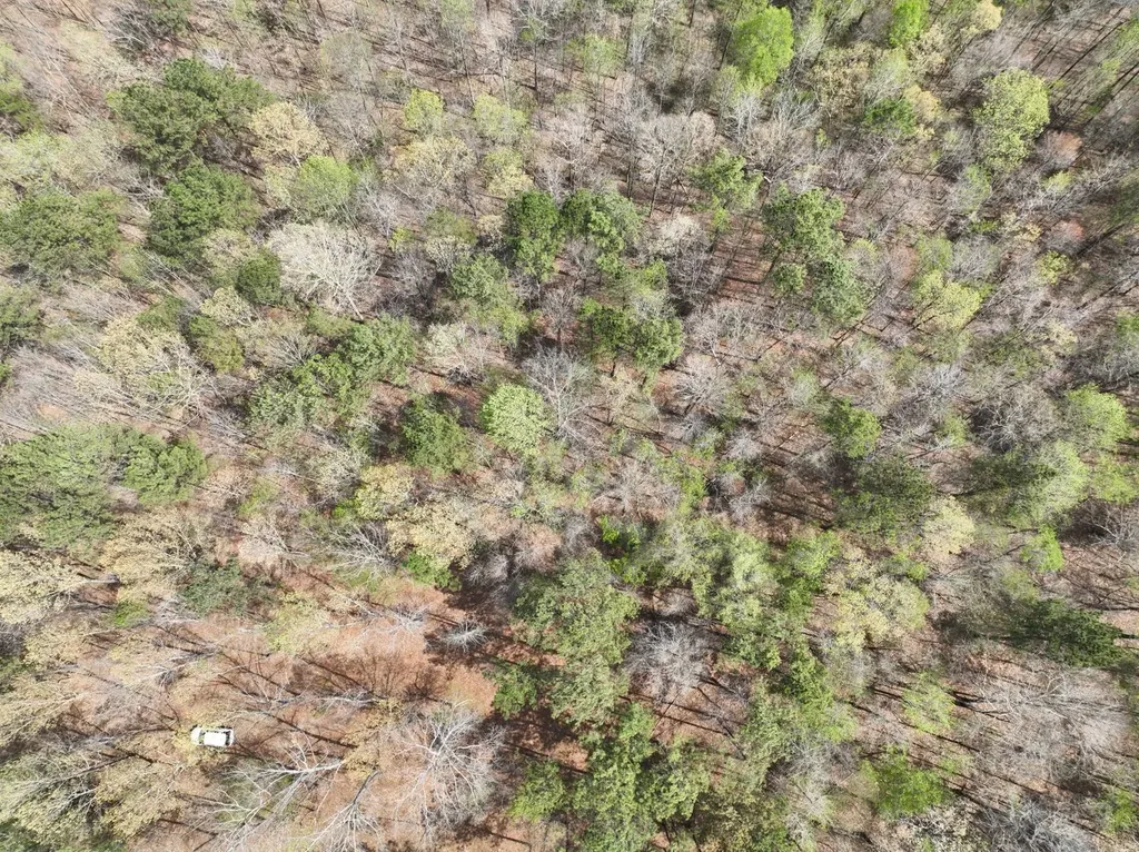 0 Berney Station Road Talladega AL 35160