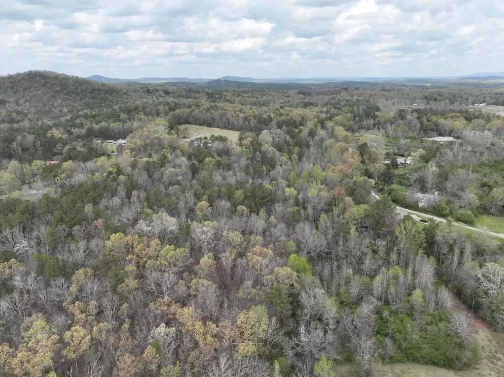 0 Berney Station Road Talladega AL 35160