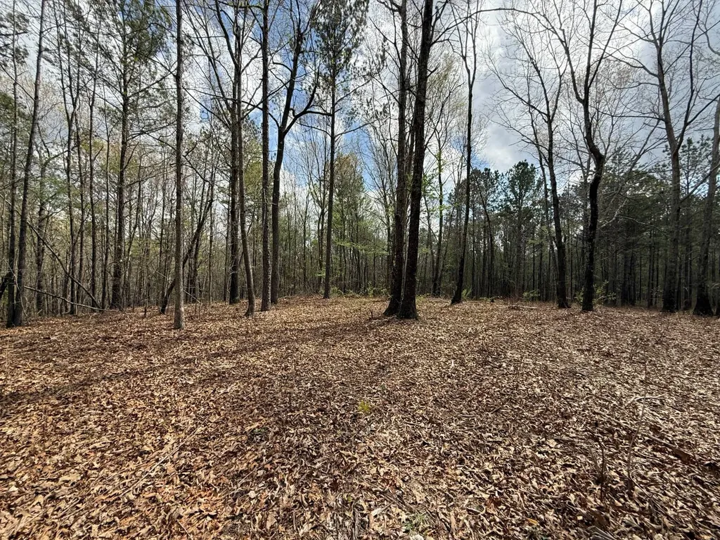 0 Berney Station Road Talladega AL 35160