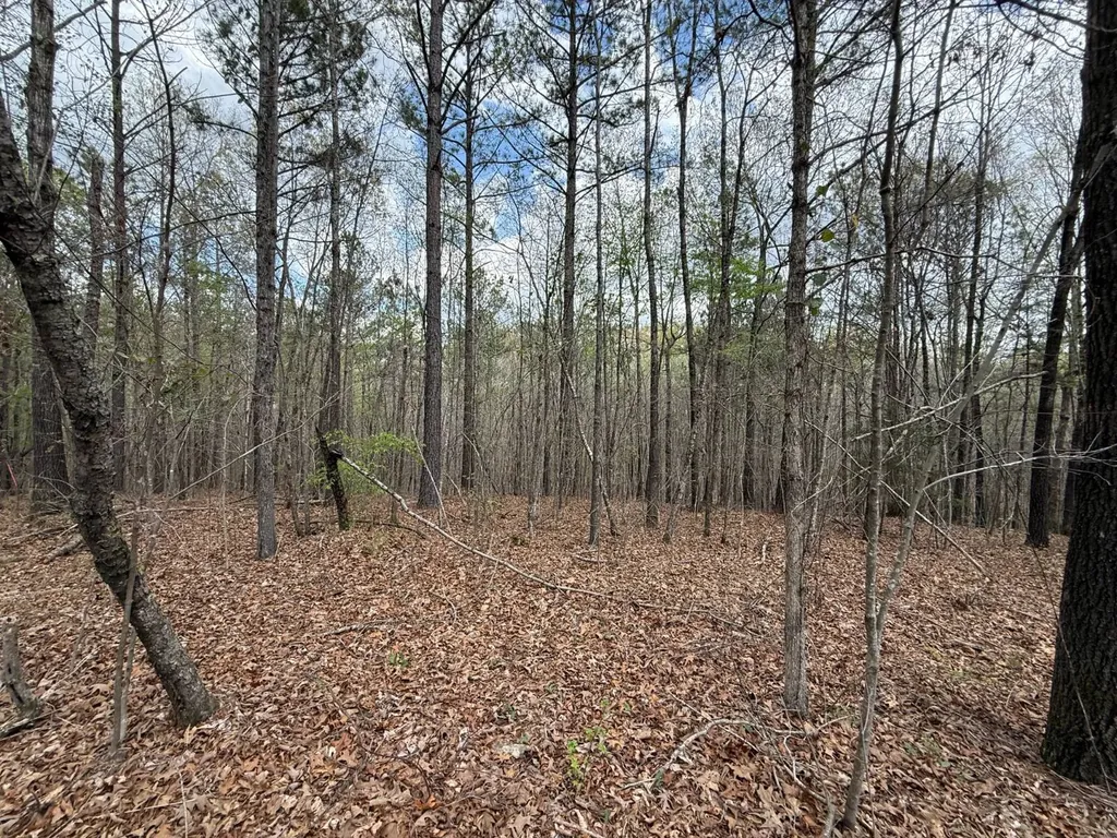 0 Berney Station Road Talladega AL 35160