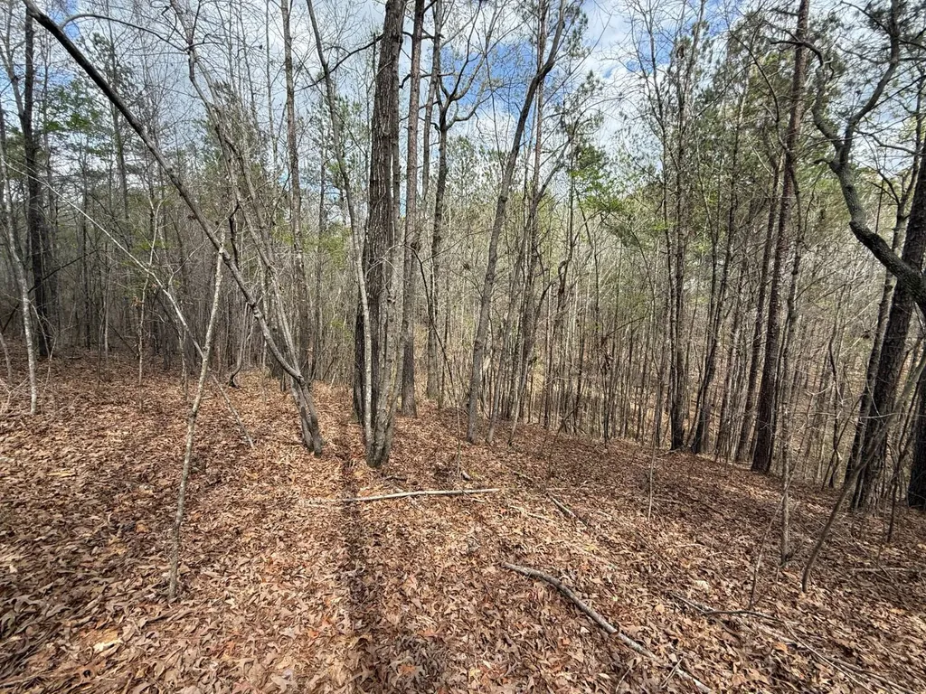 0 Berney Station Road Talladega AL 35160