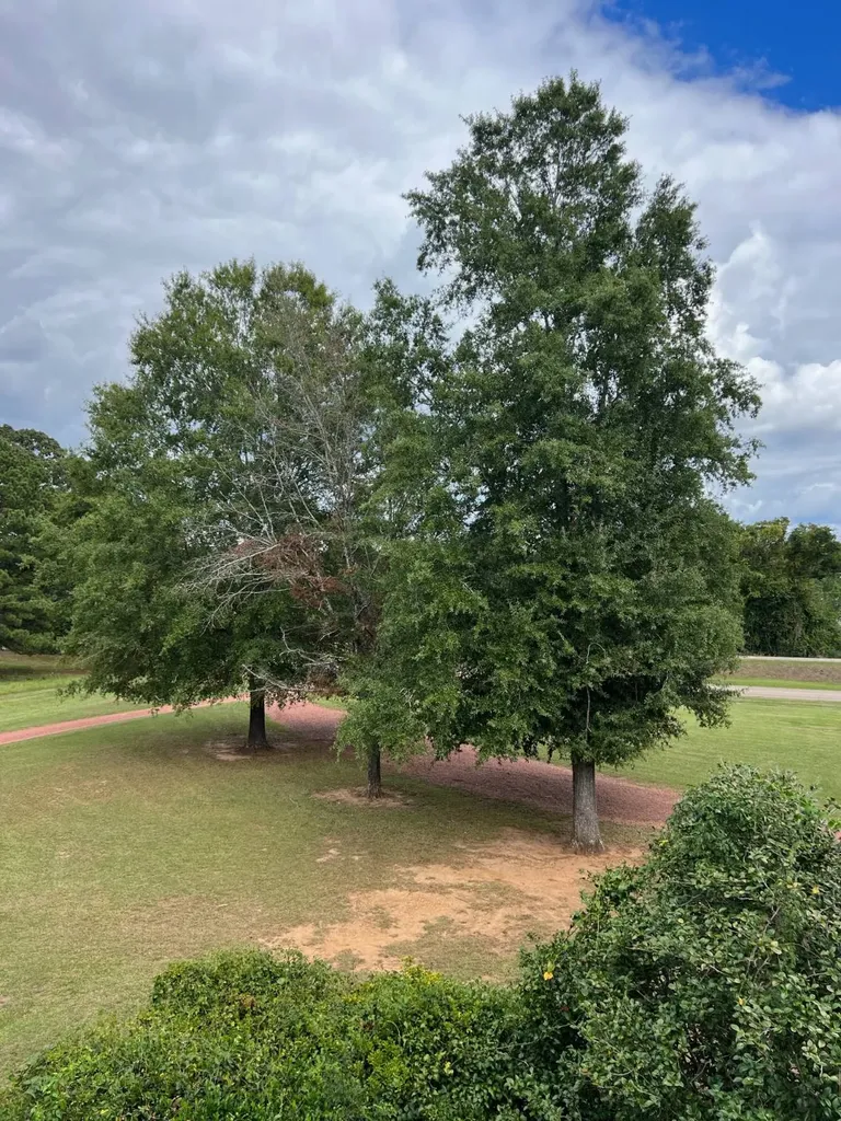 1499 South Washington Marion AL 36756