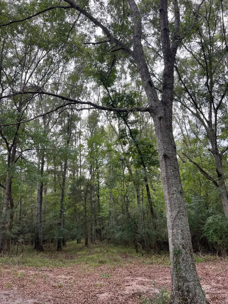 1499 South Washington Marion AL 36756