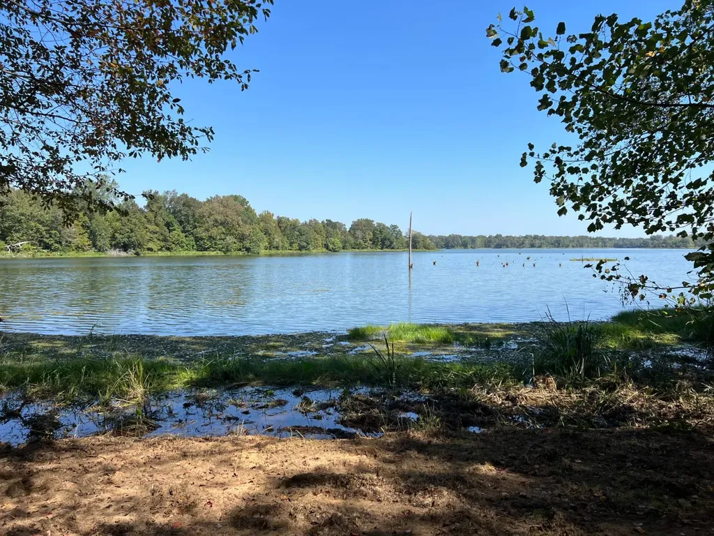 Lot 48 Black Warrior Bay Sawyerville AL 36776