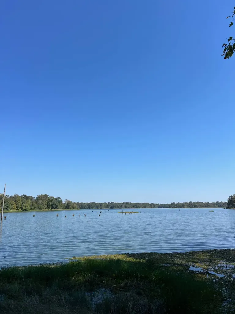 Lot 48 Black Warrior Bay Sawyerville AL 36776