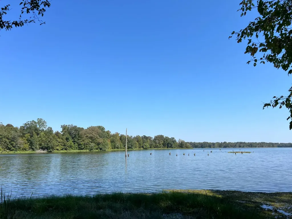 Lot 48 Black Warrior Bay Sawyerville AL 36776