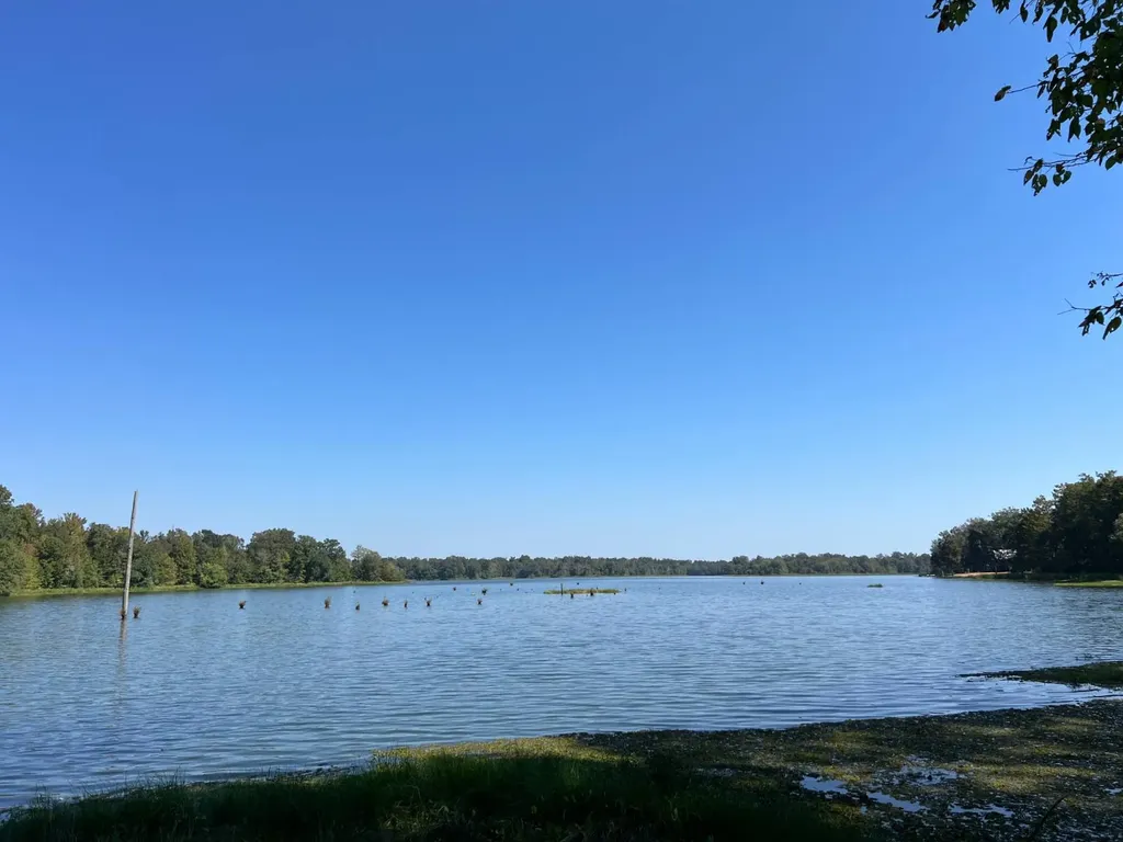 Lot 48 Black Warrior Bay Sawyerville AL 36776