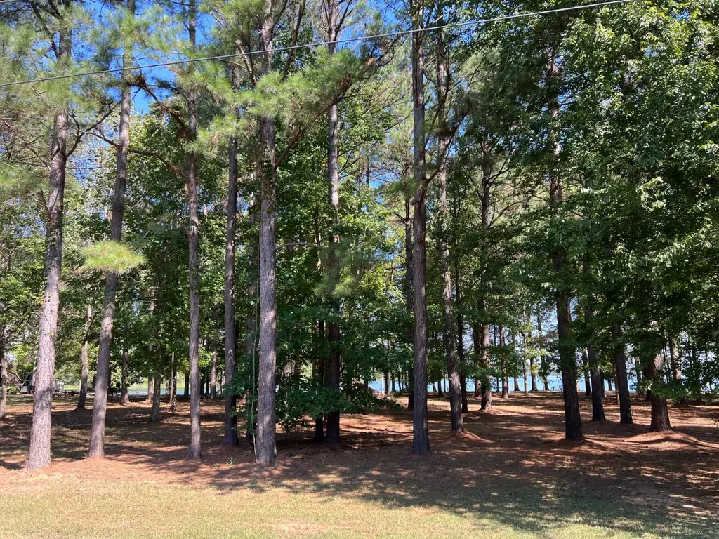 Lot 48 Black Warrior Bay Sawyerville AL 36776