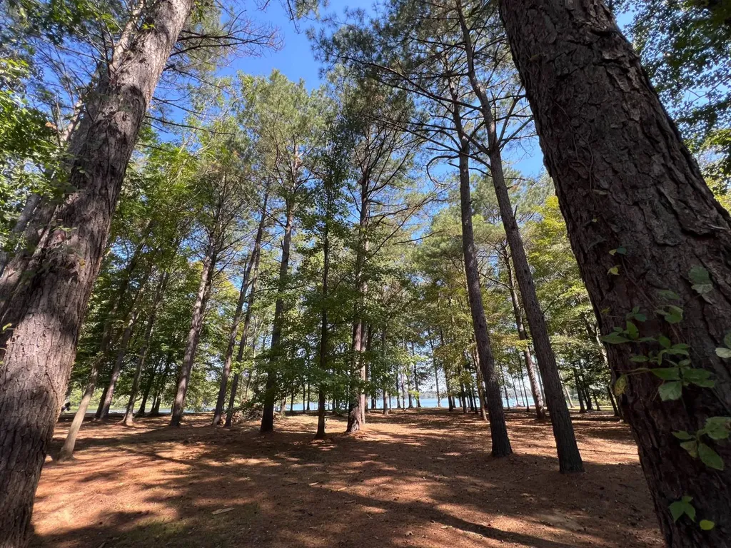 Lot 48 Black Warrior Bay Sawyerville AL 36776