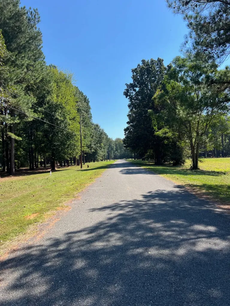 Lot 48 Black Warrior Bay Sawyerville AL 36776