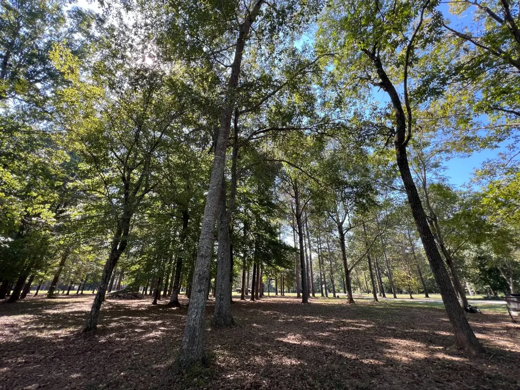 Lot 48 Black Warrior Bay Sawyerville AL 36776