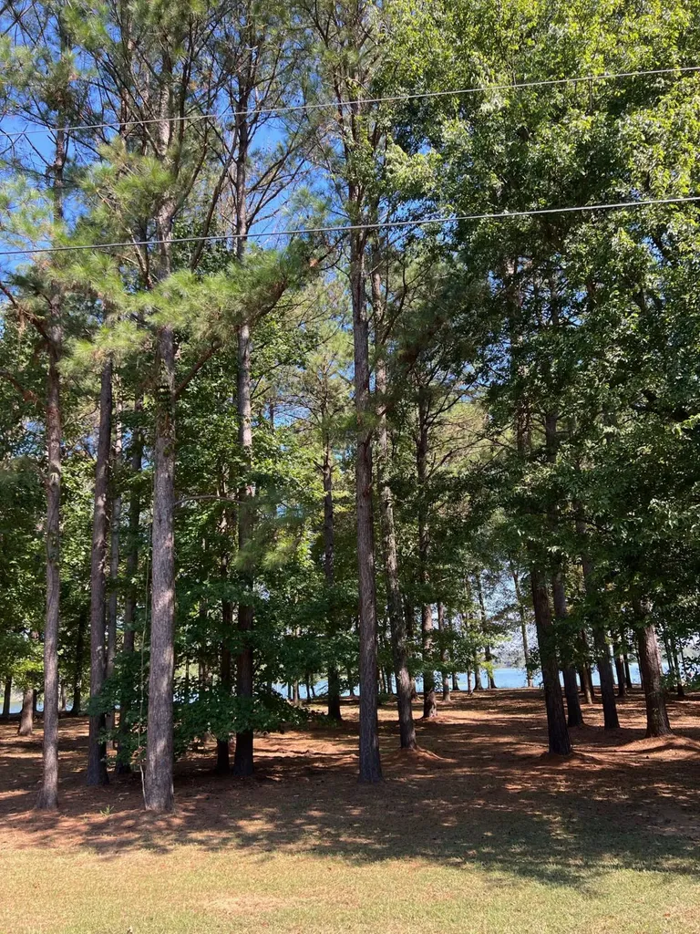 Lot 48 Black Warrior Bay Sawyerville AL 36776