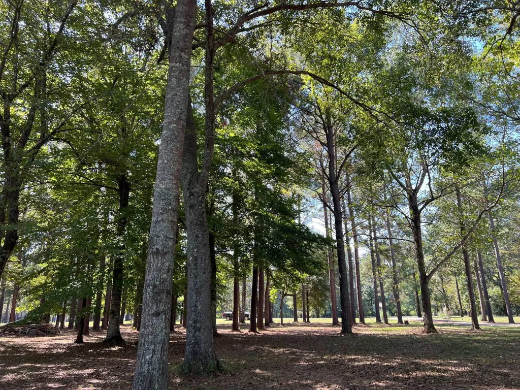 Lot 48 Black Warrior Bay Sawyerville AL 36776