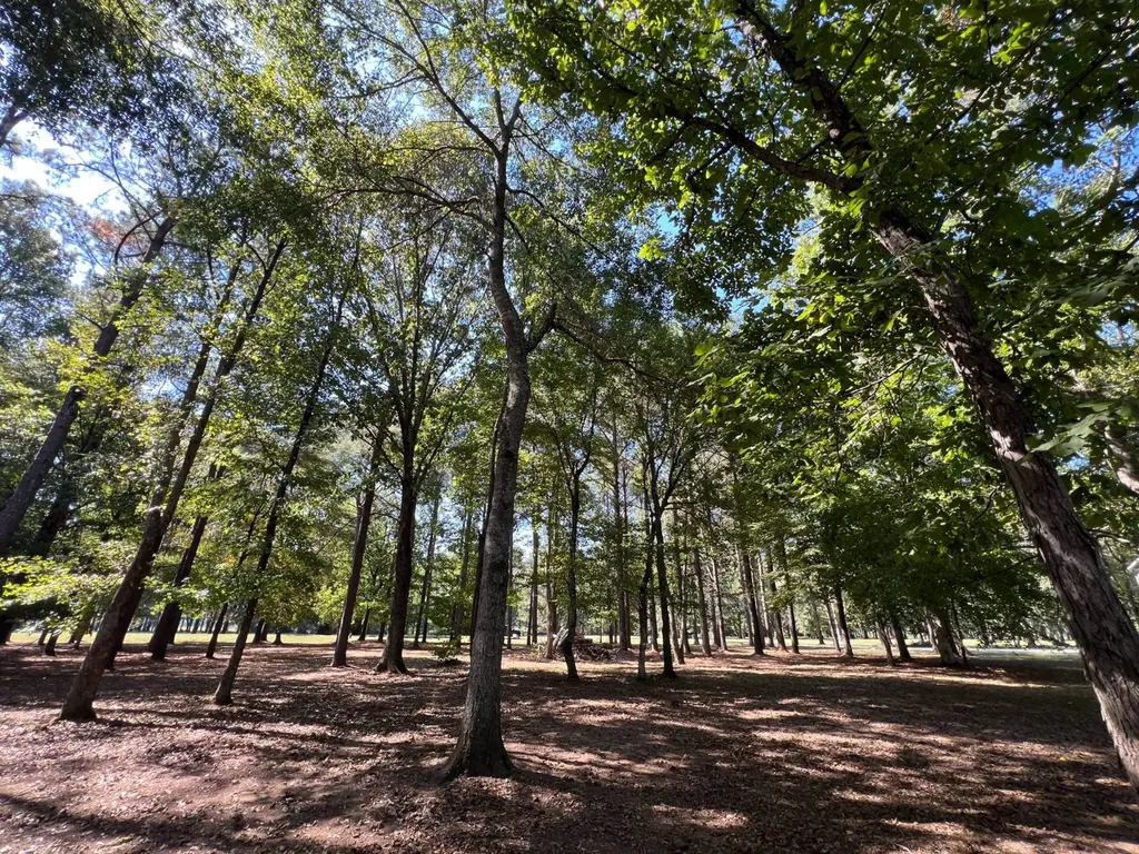 Lot 48 Black Warrior Bay Sawyerville AL 36776