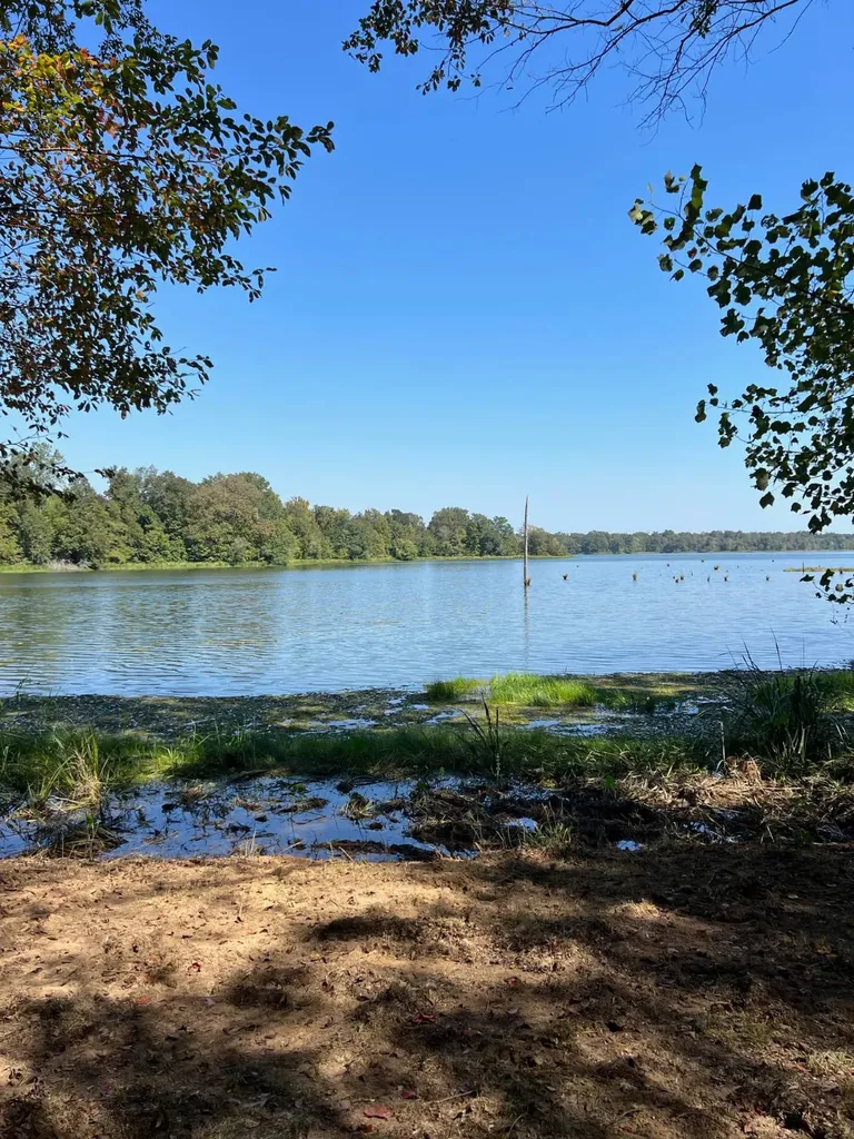 Lot 48 Black Warrior Bay Sawyerville AL 36776