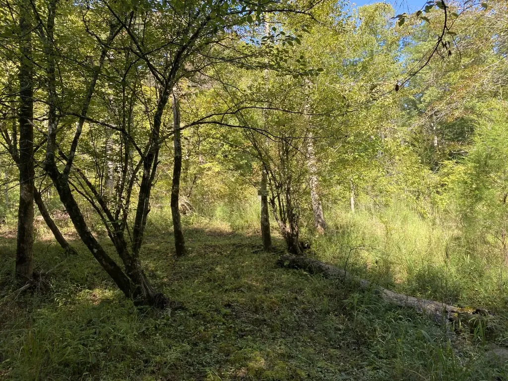 0 War Eagle Drive Bessemer AL 35022