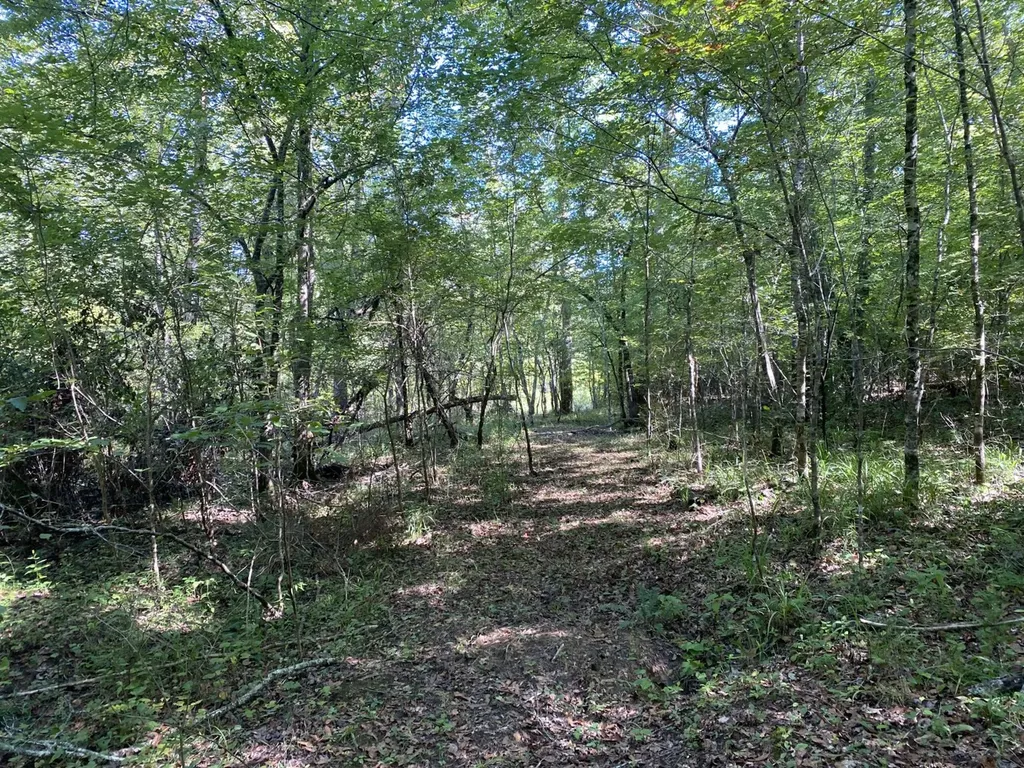 0 War Eagle Drive Bessemer AL 35022