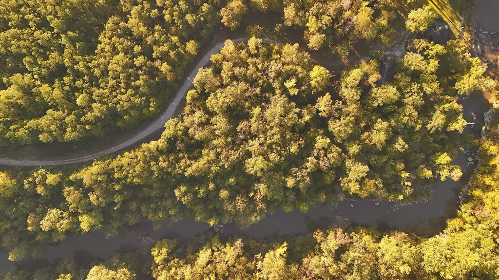 0 War Eagle Drive Bessemer AL 35022