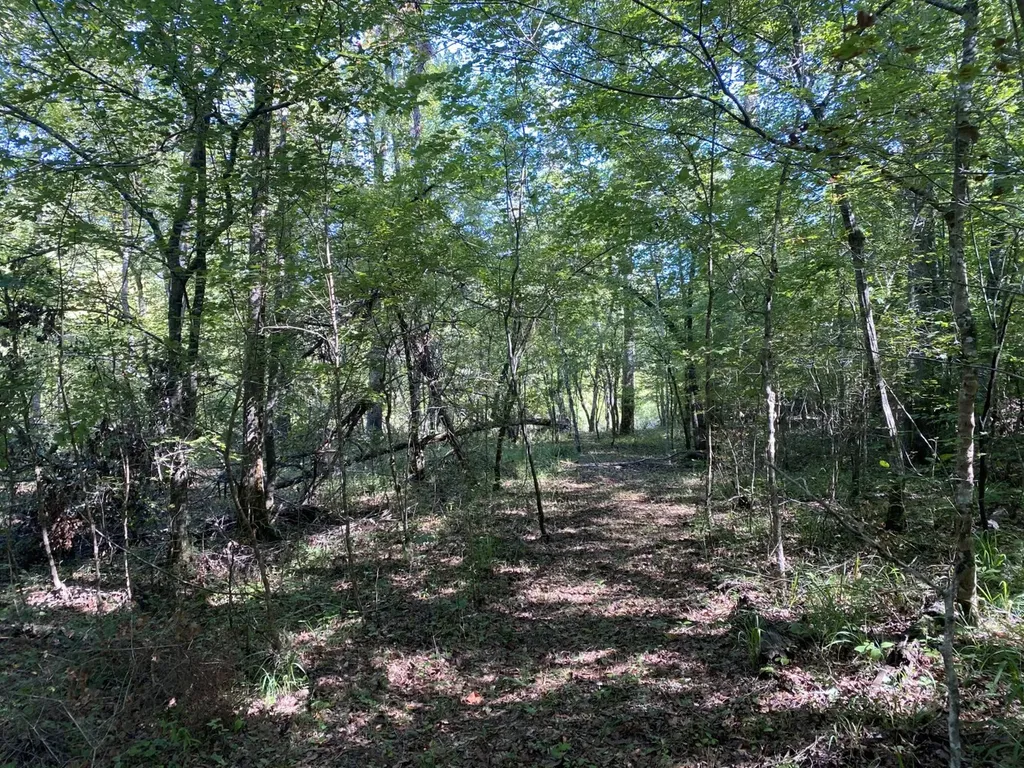 0 War Eagle Drive Bessemer AL 35022
