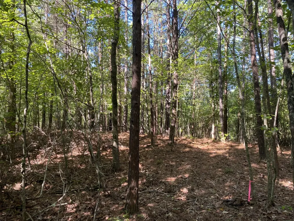 0 War Eagle Drive Bessemer AL 35022