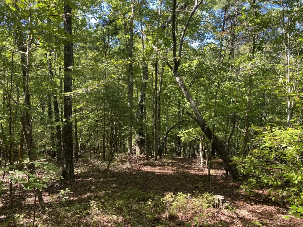 0 War Eagle Drive Bessemer AL 35022