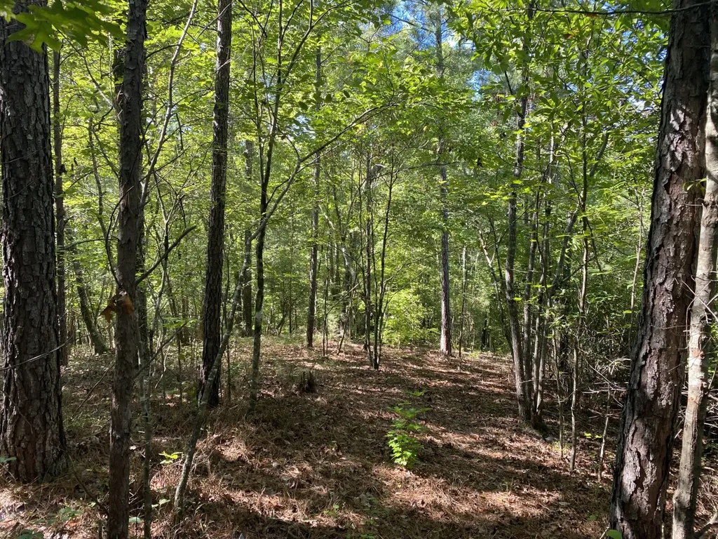 0 War Eagle Drive Bessemer AL 35022