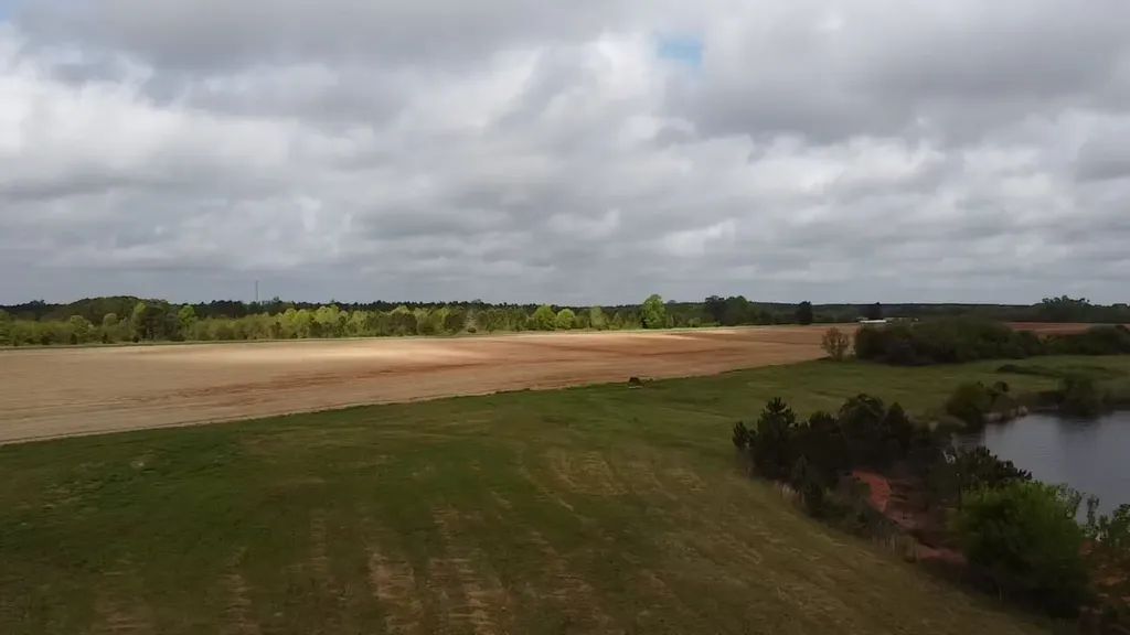 00 County Road 137 Abbeville AL 36310