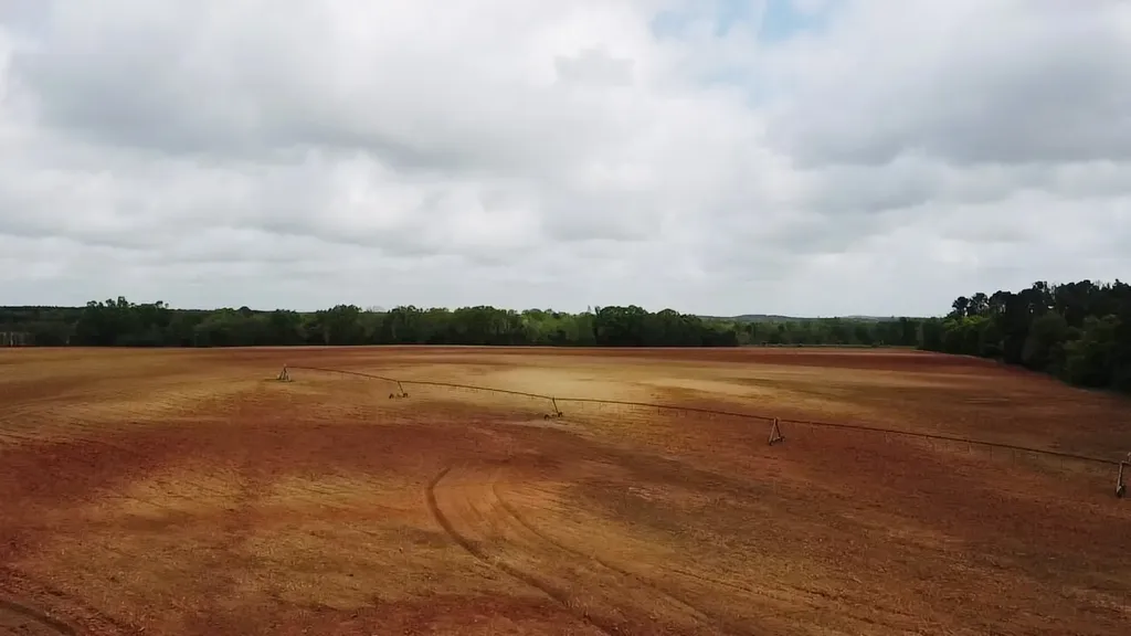 00 County Road 137 Abbeville AL 36310