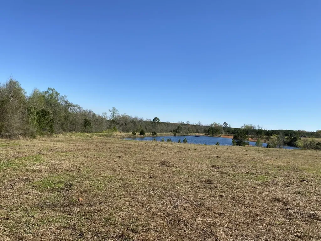 00 County Road 137 Abbeville AL 36310