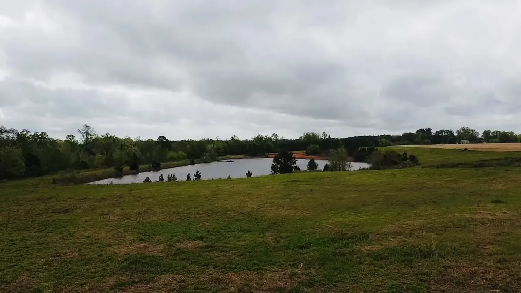 00 County Road 137 Abbeville AL 36310