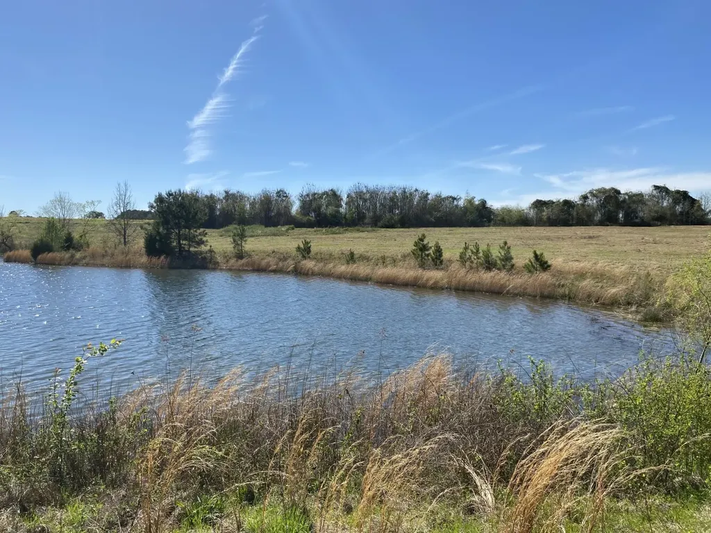 00 County Road 137 Abbeville AL 36310