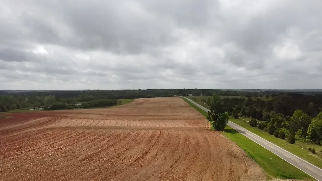 00 County Road 137 Abbeville AL 36310