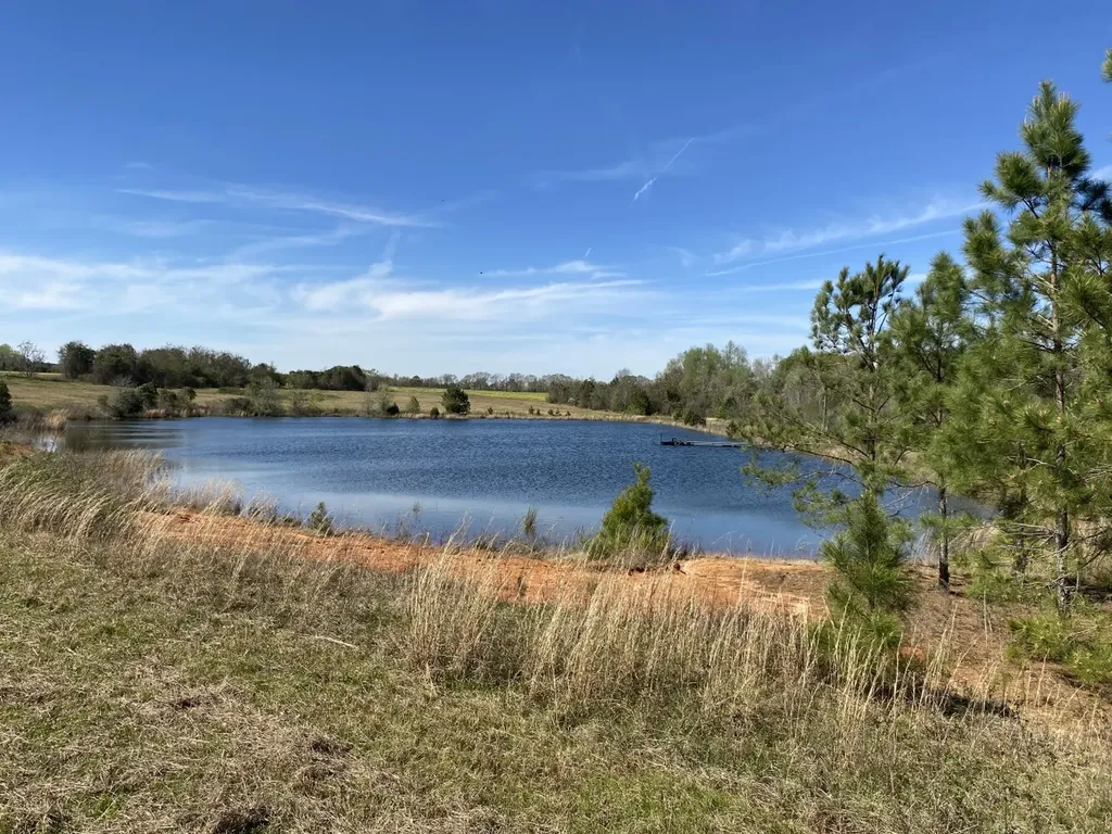 00 County Road 137 Abbeville AL 36310